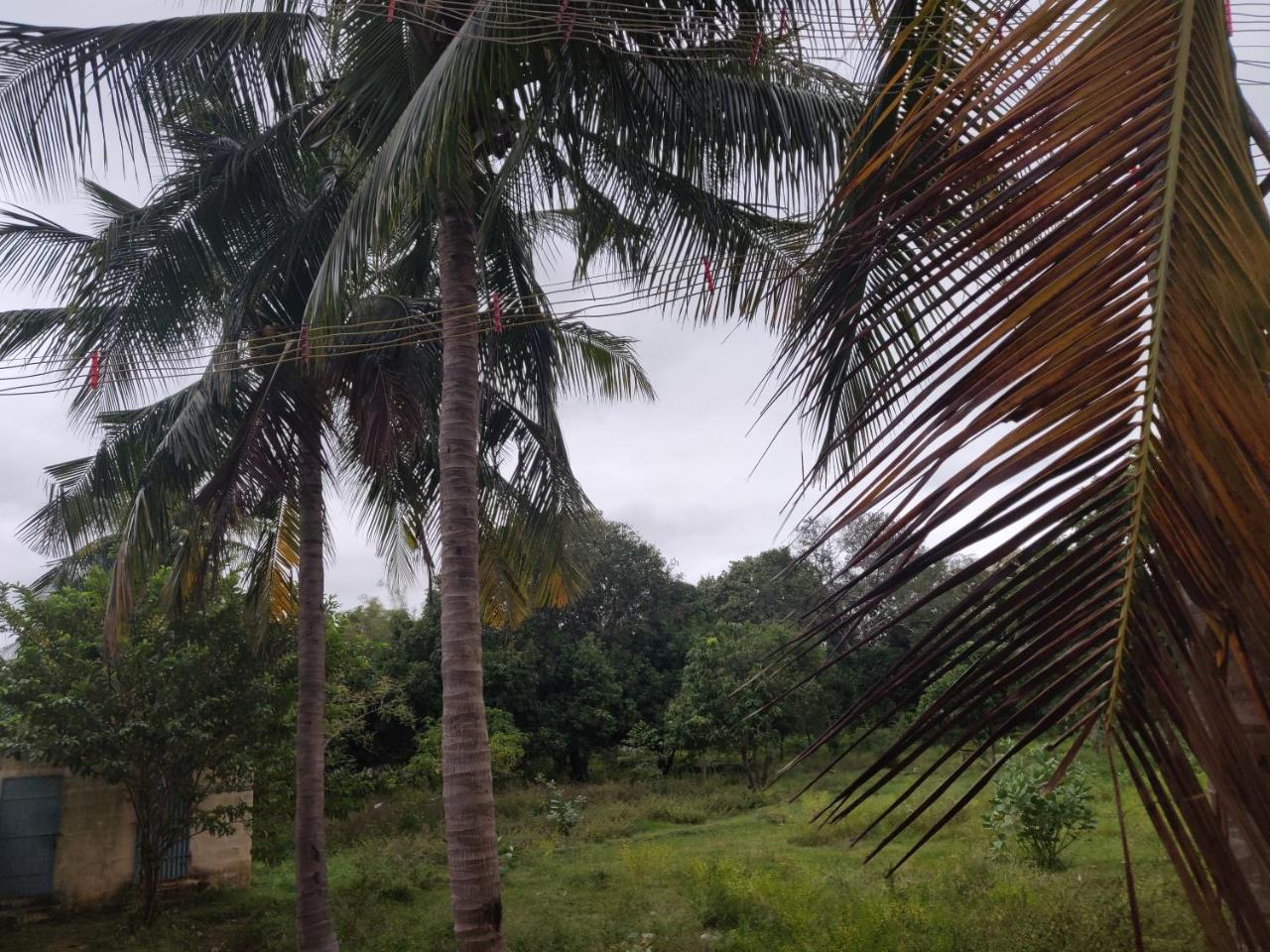 Srb Residency Hotel Tiruvannamalai Luaran gambar